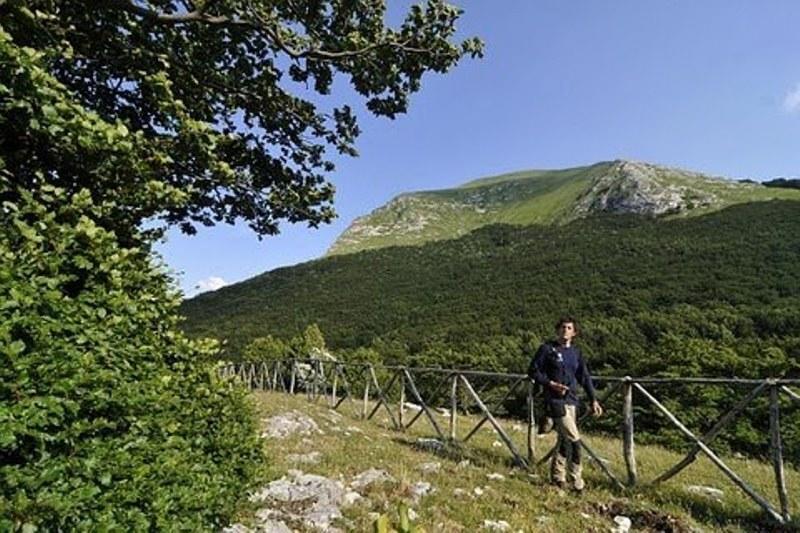 Appartamento Il Grillo Fossato di Vico ห้อง รูปภาพ